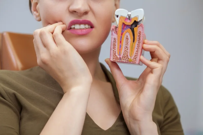 GN Dental Yuba City | Emergency Dentistry GN Dental Yuba City | Emergency Dentistry